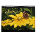 Search for butterfly photography Inspirational quote
