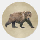 Search for kodiak bear stickers Grizzly