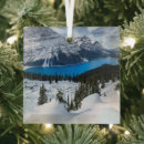 Search for banff christmas tree decorations Canadian rockies
