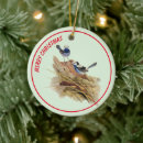 Search for wren christmas tree decorations Birds