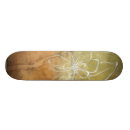 Search for background skateboards Abstract
