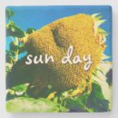 Search for sunflower coasters Yellow