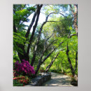 Search for garden path posters Azaleas