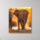 Search for conservatives photography Elephant