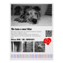 Search for daning posters Great dane