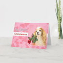 Search for dog grandma cards White