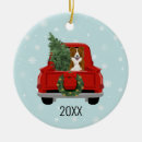Search for border collie christmas decor Cute