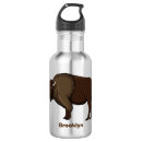 Search for plain water bottles Bison