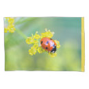 Search for ladybug pillowcases Red