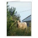 Search for bovines cards Livestock