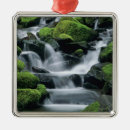 Search for sol christmas tree decorations Usa