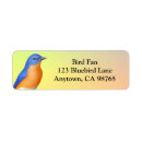 Search for eastern bluebird return address labels Wild birds