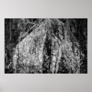 Search for weeping willow tree posters Leaves