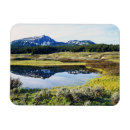 Search for backcountry magnets Forest