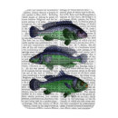 Search for fish magnets Steampunk