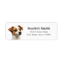 Search for jack russell terrier return address labels Dog