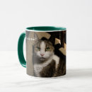 Search for best cat dad ever mugs Pet photo