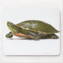 Search for painted turtles mousepads Reptile