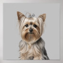 Search for yorkie art Yorkshire terrier