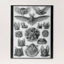 Search for bat puzzles Vintage