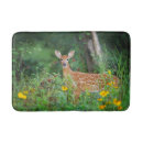 Search for white tail Nature