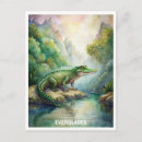 Search for everglades postcards Watercolor