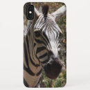 Search for smiling zebra Wild