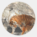 Search for tiger print stickers Wildlife