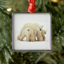 Search for baby bear christmas tree decorations Snow