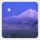 Search for hooded stickers Usa