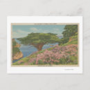 Search for veteran postcards States
