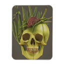 Search for grapes magnets Plants