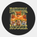 Search for meme cat stickers Video