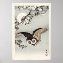 Search for owl posters Antique