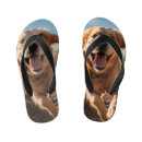 Search for golden jandals Dog