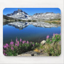 Search for mountain flowers mousepads Photography