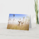Search for fire island cards Fawn
