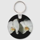 Search for white orchid key rings Orchids