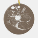Search for lily christmas tree decorations Nature