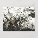 Search for poetry horizontal postcards Literature