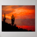Search for desert colors posters Nature