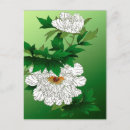 Search for peony postcards White peonies