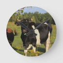 Search for cow horn clocks Horns