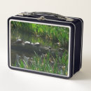 Search for photo lunch boxes Nature