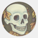 Search for dead leaves stickers Skull