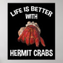 Search for the hermit posters Cute