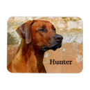 Search for rhodesian magnets Pet