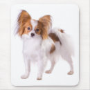 Search for butterfly dog electronics Puppy