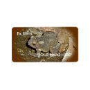 Search for toad return address labels Amphibian