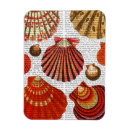 Search for shell magnets Clam